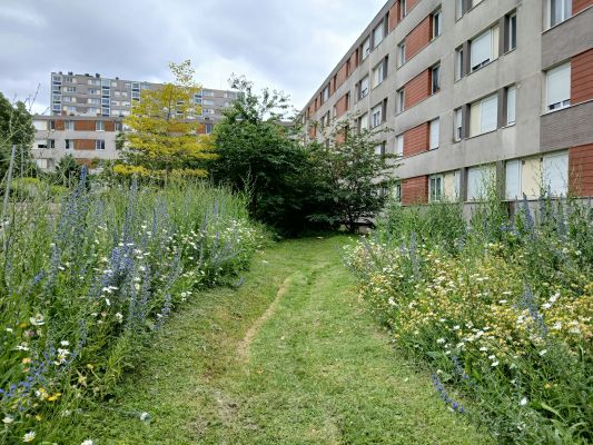 La gestion différenciée des espaces verts